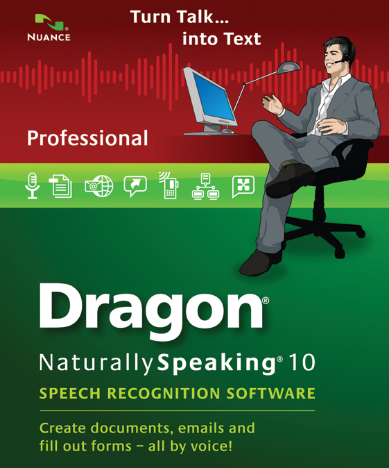 dragon professional individual v13